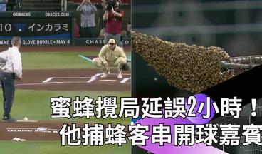 【2024 MLB】BEE DELAY！道奇和響尾蛇的比賽為什麼晚了2小時才開始？我說球場有一大群蜜蜂聚集你相信嗎！來看贏得全場歡呼聲的專業捕蜂人怎麼抓蜜蜂、怎麼開球