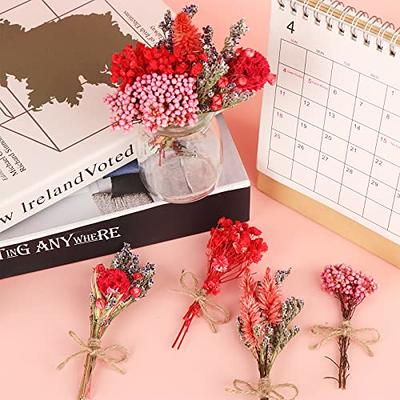 10 Pcs Mini Dried Flowers Natural Gypsophila Dried Flowers Bouquet of  Flowers Natural Flower Bouquets Flower Plant Stem Bunch for DIY Craft Card  Home