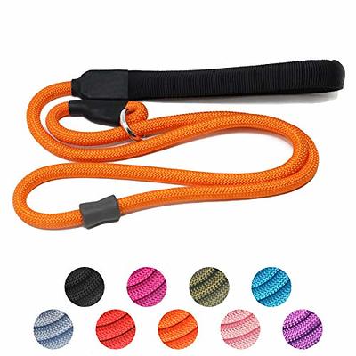 Cesar Millan Slip Lead Leash™ - 2-in-1 Slip Collar Dog Training Lead &  Collar | Heavy Duty Durable Weatherproof Rope Leash, No Pull Training |  Length