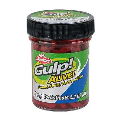  Berkley Gulp! Alive! Maggot Fishing Bait, Red Wiggler, Extreme  Scent Dispersion, Great Replacement for Live Maggots, Ideal for Panfish,  Trout, and More : Sports & Outdoors