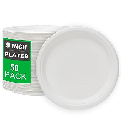  Hygloss Products Paper Plates - Uncoated White Plate - Use for  Foodware, Events, Activities, Crafts Projects and More - Environmentally  Friendly - Recyclable and Disposable - 6-Inches - 100 Pack : Everything Else