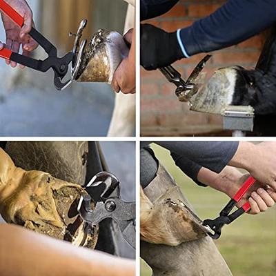 Horse Farrier Tool Kit Grooming Hoof Bot Shoe Puller Nipper Rasp 984109