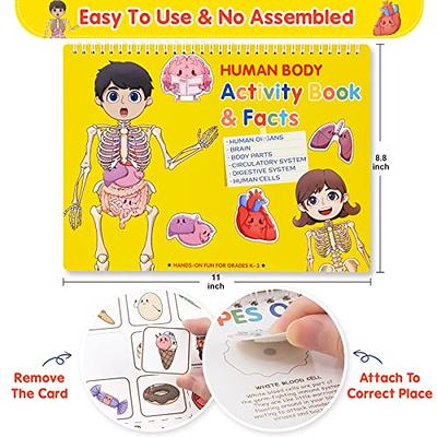 Human Anatomy Coloring Activity Book For Kids Ages 4-8: A