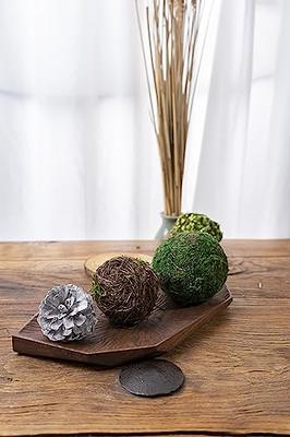 2, 3, 4 Moss Balls-moss Ball-decorative Moss Orb Sphere for Bowl