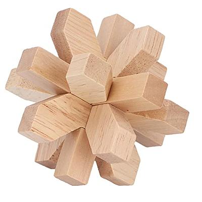 Wooden Brain Teaser Puzzle, Jigsaw Lock Disentanglement Puzzles, Wooden  Unlocking Interlocking Puzzles Game Toy, Logic Test Toy for Teens and  Adults - Yahoo Shopping