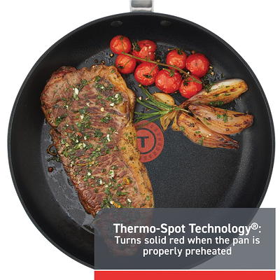 T-FAL T-fal Expert Pro Platinum Non-Stick cookware, 12 inch Frypan