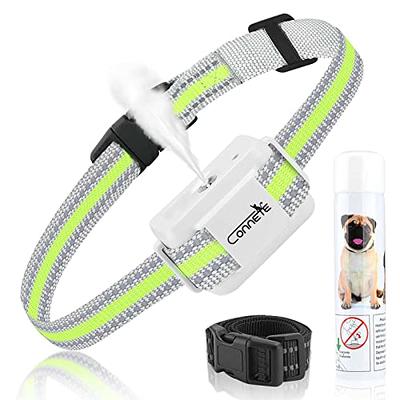 5 Top Citronella Collars For Dogs To Help With Excessive Barking