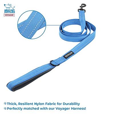 Voyager Reflective Dog Leash with Neoprene Handle, 5ft Long, Supports  Small, Medium, and Large Breed Puppies, Cute and Heavy Duty for Walking,  Running, and Training - Baby Blue (Leash), M - Yahoo Shopping