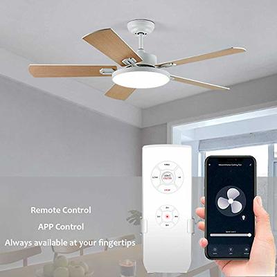 Smart Wifi Ceiling Fan And Light Remote