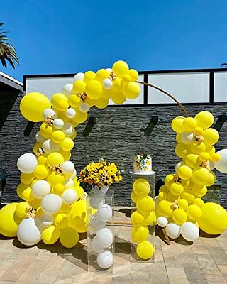  Yellow Balloons, 50 Pcs 12 Inch Matte Yellow Balloons,  Yellow Latex Balloons For Balloon Garland Balloon Arch As Party  Decorations, Birthday Decorations, Baby Shower Decorations, Yellow-Y55