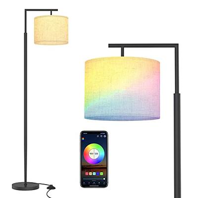 Best Deal for PESRAE Floor Lamp, Remote Control with 4 Color