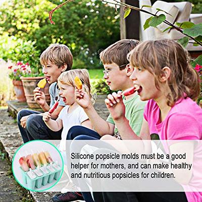 Popsicle Mold 6 Piece Set Silicone Ice Pop Maker BPA Free Reusable NEW