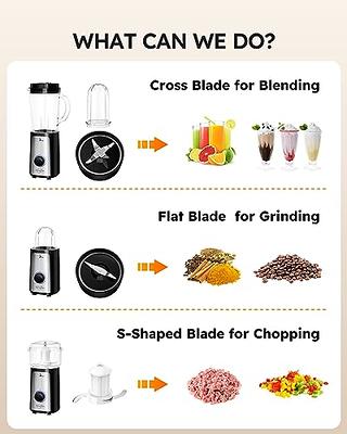 SANGCON 5 in 1 Blender and Food Processor Combo for Kitchen, Small Electric  Food Chopper for Meat and Vegetable, 350W High Speed Blenders with 2
