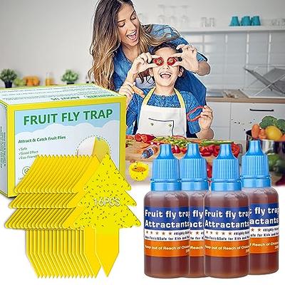  Fruit Fly Trap for Indoor- Non-Toxic Insects Bait Refill  Liquid Only- Fruit Fly Bait with Sticky Pads- with 6 Packs Fly Trap Refills  Liquid Replacement- 24 Packs Fruit Fly Trap