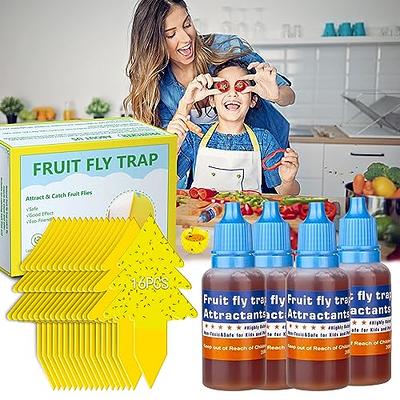 Trappify Hanging Fly Trap - Fly Traps for Indoors and Outdoor - Fly Paper  and Fly Strips - 2 Pk 