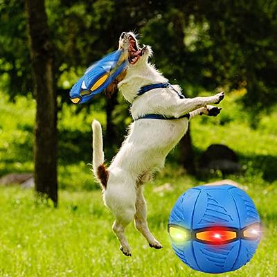 Leitee 2 Pack Dog Ring Toys Indestructible Dog Toys Dog Chewing Ring Toy  Flying Discs Floating Dog Training Tools Dog Fetch Toy for Small Medium  Large