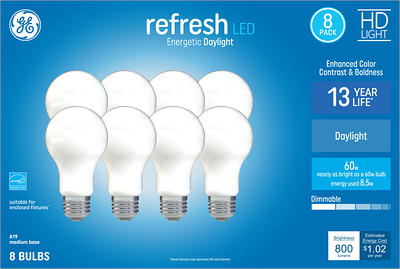 GE Relax 60-Watt EQ G30 Soft White Medium Base (E-26) Dimmable LED