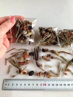 Dried Flowers For Resin Jewelry, Forest Berries Tiny Flower Set, Multicolor  Dry Mini Mix, Green Hydrangea, Phalaris, Broom Bloom - Yahoo Shopping