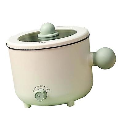 Dezin Hot Pot Electric, Rapid Noodles Cooker, Stainless Steel Electric Pot  1.6 Liter, Perfect for Ramen, Egg, Pasta, Dumpling, Soup, Porridge, Oatmeal