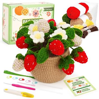  LOKUNN Crochet Kit for Beginners, 6 Pcs Crochet Potted Flowers  Kit (Blue), Complete Crochet Kit for Beginners Adults with Step-by-Step  Instructions and Video Tutorials