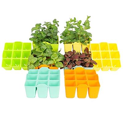  LUVCOSY 4 Packs Silicone Seed Starter Tray, Colorful Seedling  Starter Trays Fit Up to 10 10 Planting Tray, BPA-Free & Dishwasher Safe,  Indoor Reusable Seedling Grow Kit for Vegetable, Flower