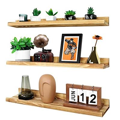 Great Choice Products Small Adhesive Wall Shelves Acrylic Display Shelf Mini Floating Shelves Pop Shelves Hanging Display Shelves for Space Save Ro