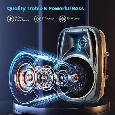 beFree Sound Double 10 Subwoofer Bluetooth Portable Party Speaker with  Reactive Lights, USB/SD Input, FM Radio, Remote Control and Microphone