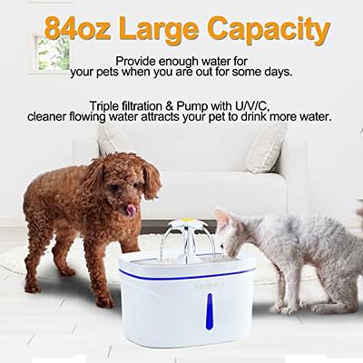 Dog Water Fountain, Automatic Dog Water Bowl Dispenser Cat Water