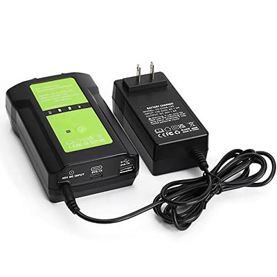 GreenWorks 29482 G-MAX 40V Li-Ion Charger : : Electronics