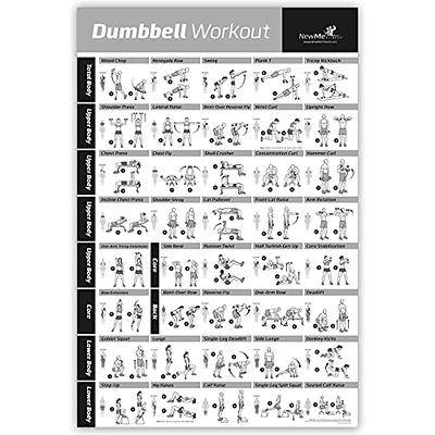 NewMe Fitness Workout Posters for Home Gym, Dumbbell Exercise Posters for  Full Body Workout, Core Abs Legs Glutes & Upper Body Training Program (Vol  1) - Yahoo Shopping