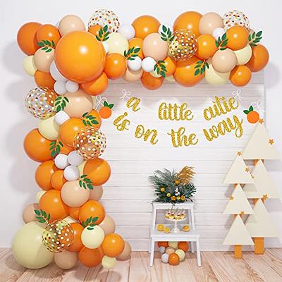 Big Dot Of Happiness Little Clementine - Paper Straw Decor