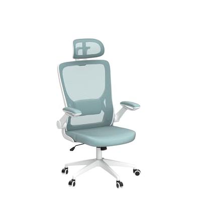 Kerdom High Back Ergonomic Office Chair with Adjustable Lumbar Support