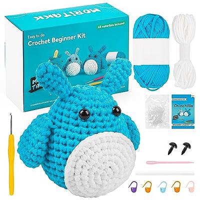  Lowyam Crochet Kit for Beginners, Step-by-Step Video