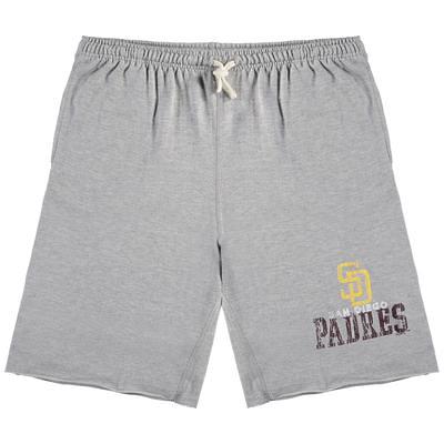 Men's Los Angeles Dodgers Profile Gray/Royal Team Shorts