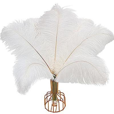 12pcs Natural White Ostrich Feathers Plumes 10-12inch(25-30cm