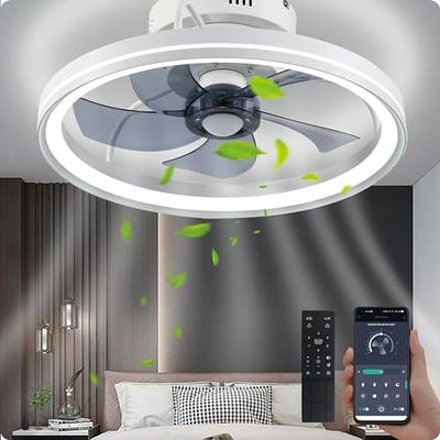 LEDIARY 20 Inch Low Profile Ceiling Fans with Lights and Remote