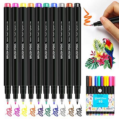 Piochoo Calligraphy Pens,10 Refill Colors Brush Markers Hand