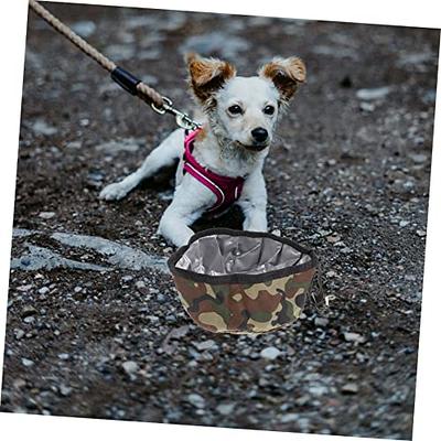 Compact and Portable Dog & Cat Feeding Station