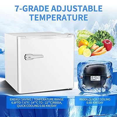 Small stand up Freezer Mini Upright Freezer Compact Refrigerators - 1.2  Cu.ft