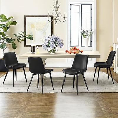 Modern Kitchen & Dining Chairs