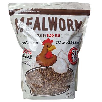 Uncle Jim's Worm Farm Mealworms for Reptiles and Chickens, Mealworms for Feeding  Lizard, Gecko, Bearded Dragons, Chickens, Birds, and More, Suitable for Fishing  Bait