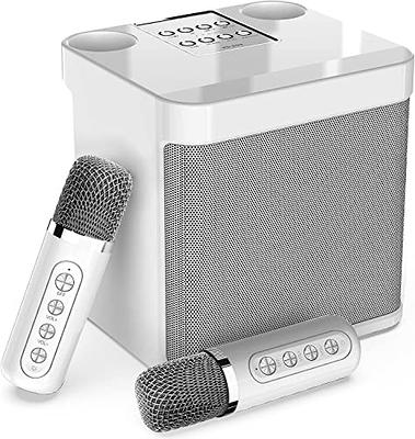 Micro Karaoke, ALPOWL Karaoke Adulte Portable pa Speaker System