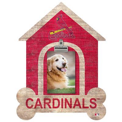 Pets First MLB Dog & Cat Jersey, St. Louis Cardinals, Large - Yahoo Shopping