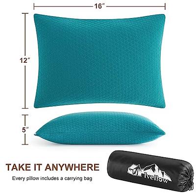 ElevateEase Memory Foam Seat Cushion & Lumbar Support Pillow Set w/ Me