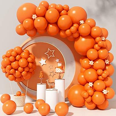 Balloon shine, balloons spray, high quality garland balloons, Mega balloon  shine spray 570ml, spray mega balloon, garland kit 