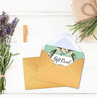 100 Pack Kraft Small Coin Envelopes Self-Adhesive Seed Envelopes