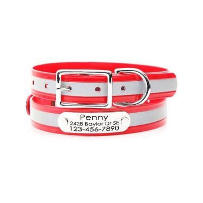 Waterproof Dog Collar with Riveted Nameplate