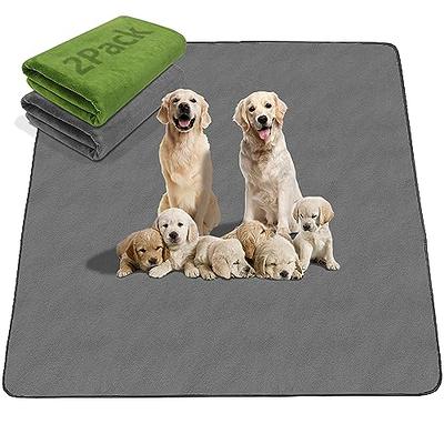 Washable Pee Pads for Dogs, 2 Pack Large 48x48 Super Absorbent