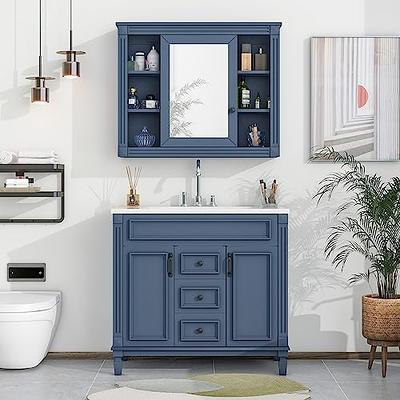 DHP Otum 24 Inch Bathroom Vanity with Sink, Navy Blue 