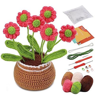 kgxulr Crochet Kit,Pink Daisy Beginners Crochet Kit,Knitting Kit for Complete  Beginners,Beginner Crocheting Kit with Step-by-Step Video Tutorials (Pink  Daisy) - Yahoo Shopping